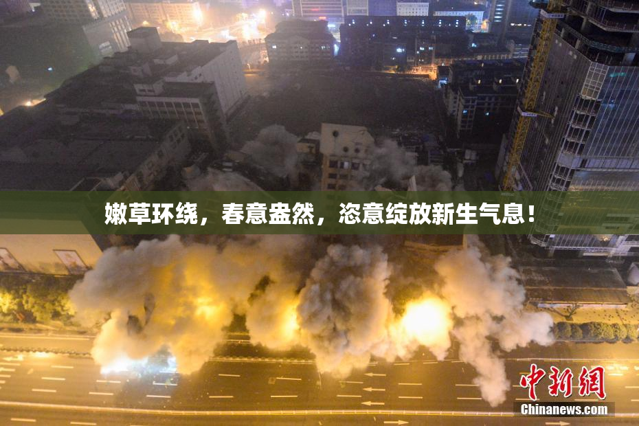 嫩草环绕，春意盎然，恣意绽放新生气息！