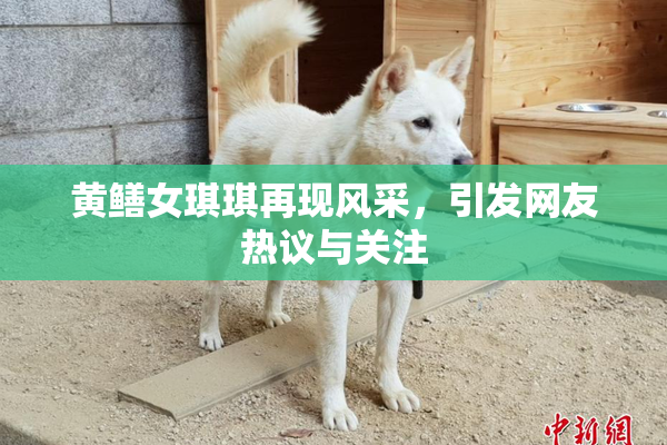 黄鳝女琪琪再现风采，引发网友热议与关注