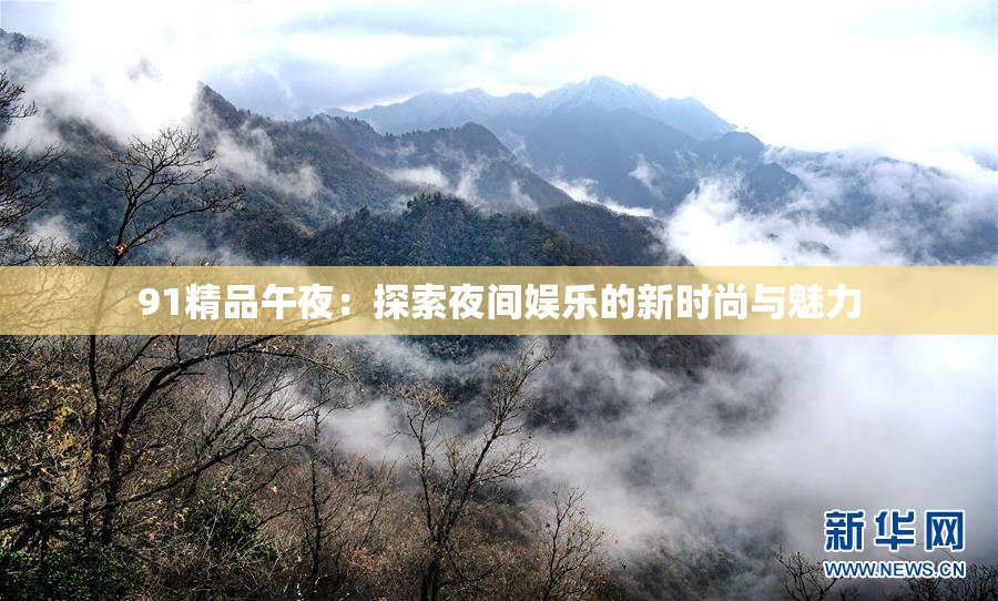 91精品午夜：探索夜间娱乐的新时尚与魅力