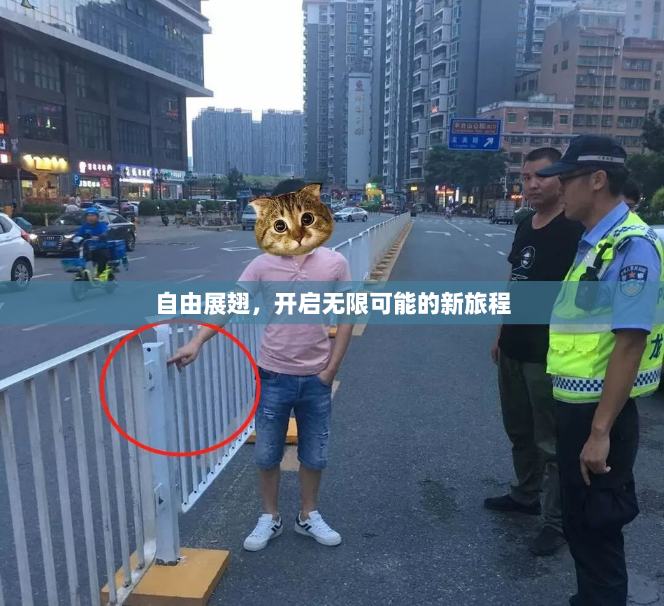自由展翅，开启无限可能的新旅程