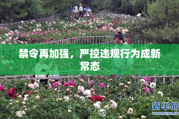 禁令再加强，严控违规行为成新常态