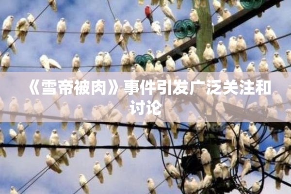 《雪帝被肉》事件引发广泛关注和讨论