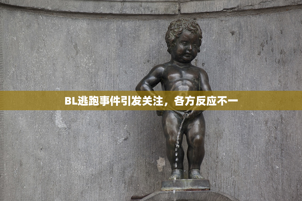 BL逃跑事件引发关注，各方反应不一