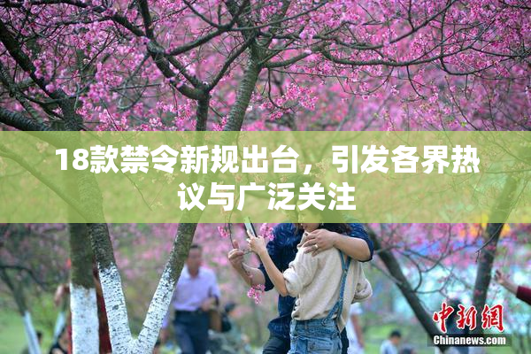 18款禁令新规出台，引发各界热议与广泛关注