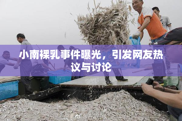 小南裸乳事件曝光，引发网友热议与讨论