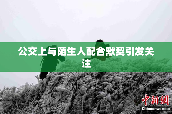 公交上与陌生人配合默契引发关注