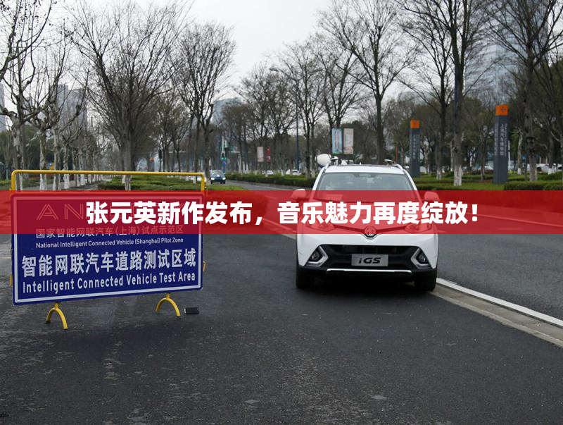 张元英新作发布，音乐魅力再度绽放！