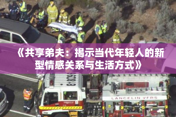 《共享弟夫：揭示当代年轻人的新型情感关系与生活方式》