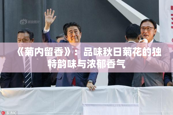 《菊内留香》：品味秋日菊花的独特韵味与浓郁香气
