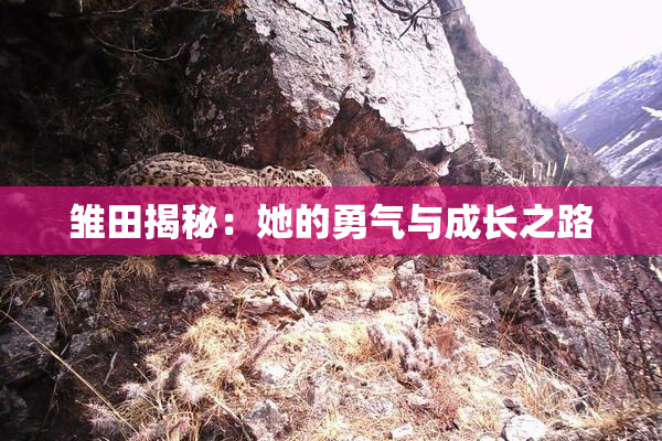 雏田揭秘：她的勇气与成长之路
