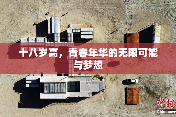 十八岁高，青春年华的无限可能与梦想