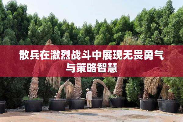 散兵在激烈战斗中展现无畏勇气与策略智慧