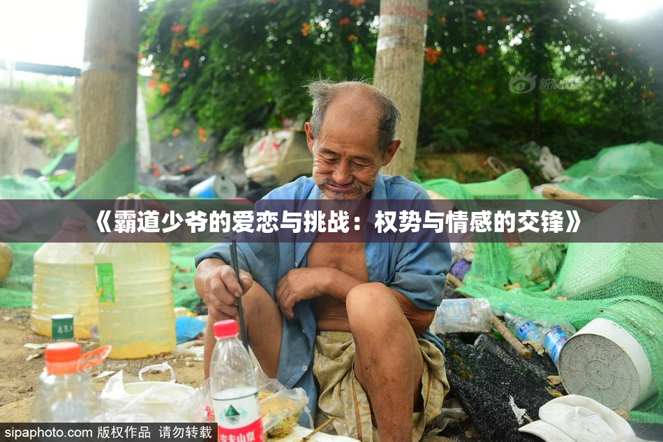 《霸道少爷的爱恋与挑战：权势与情感的交锋》