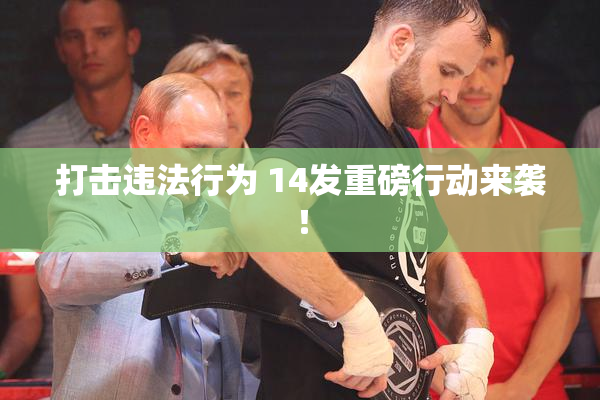 打击违法行为 14发重磅行动来袭！