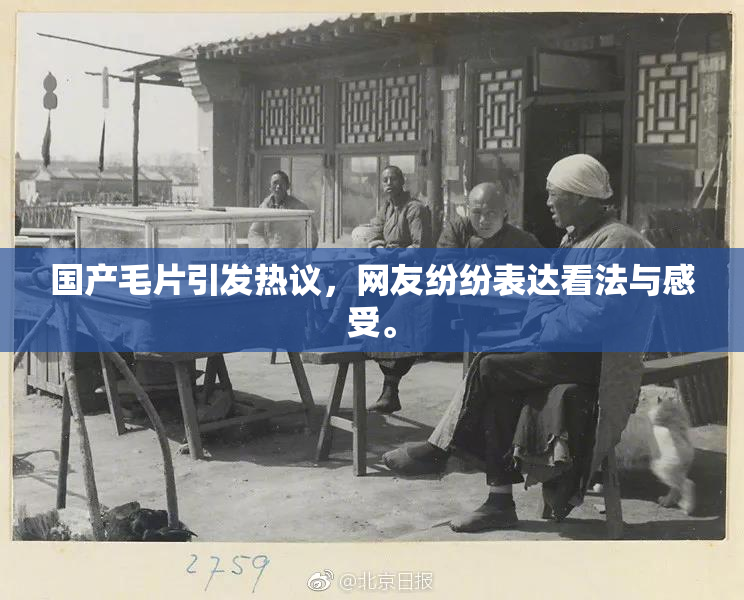 国产毛片引发热议，网友纷纷表达看法与感受。