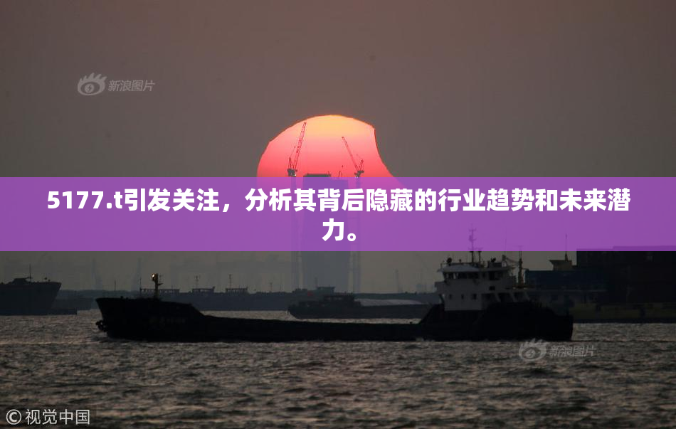 5177.t引发关注，分析其背后隐藏的行业趋势和未来潜力。