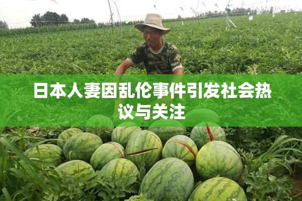 日本人妻因乱伦事件引发社会热议与关注