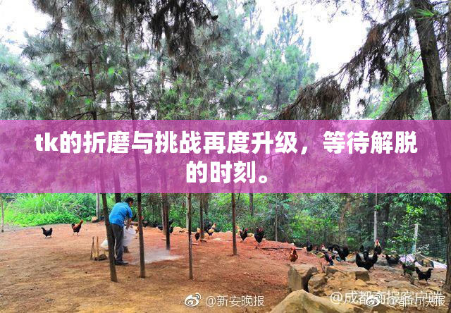 tk的折磨与挑战再度升级，等待解脱的时刻。