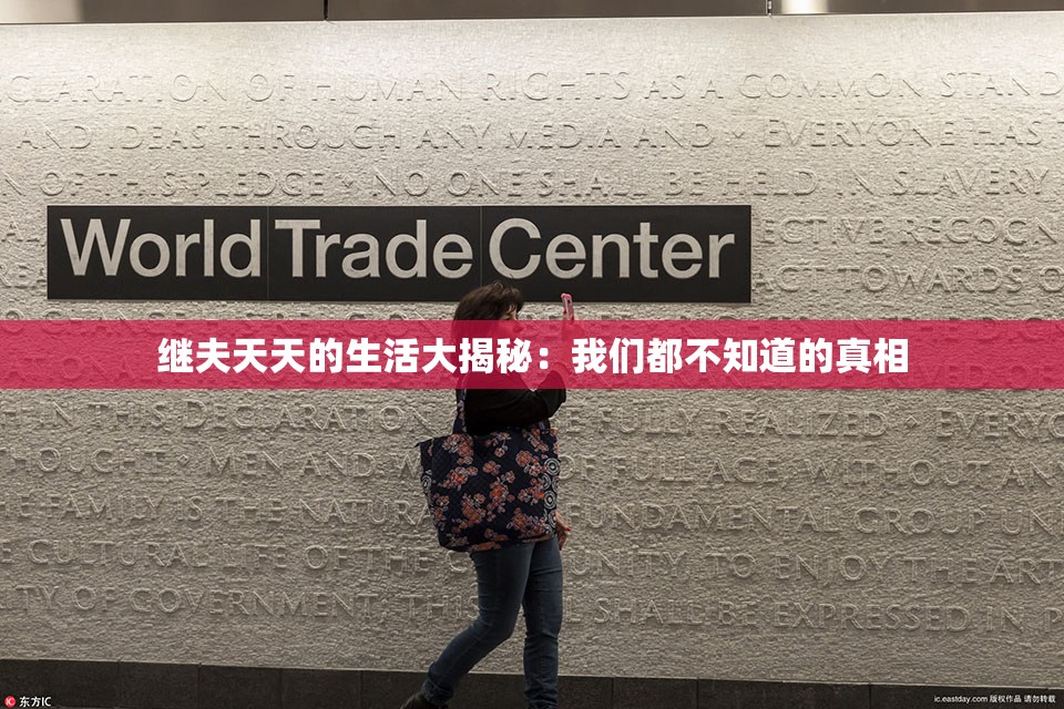 继夫天天的生活大揭秘：我们都不知道的真相