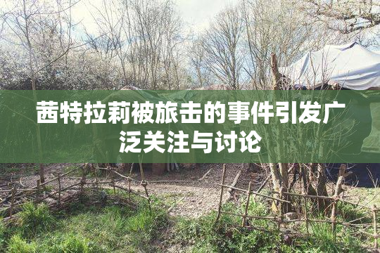 茜特拉莉被旅击的事件引发广泛关注与讨论