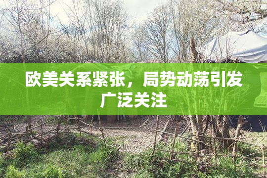 欧美关系紧张，局势动荡引发广泛关注