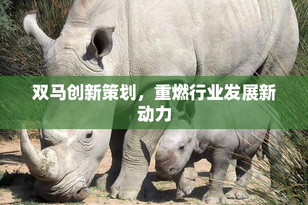 双马创新策划，重燃行业发展新动力