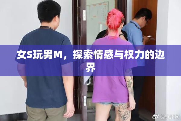 女S玩男M，探索情感与权力的边界