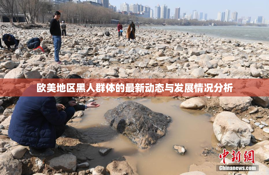 欧美地区黑人群体的最新动态与发展情况分析