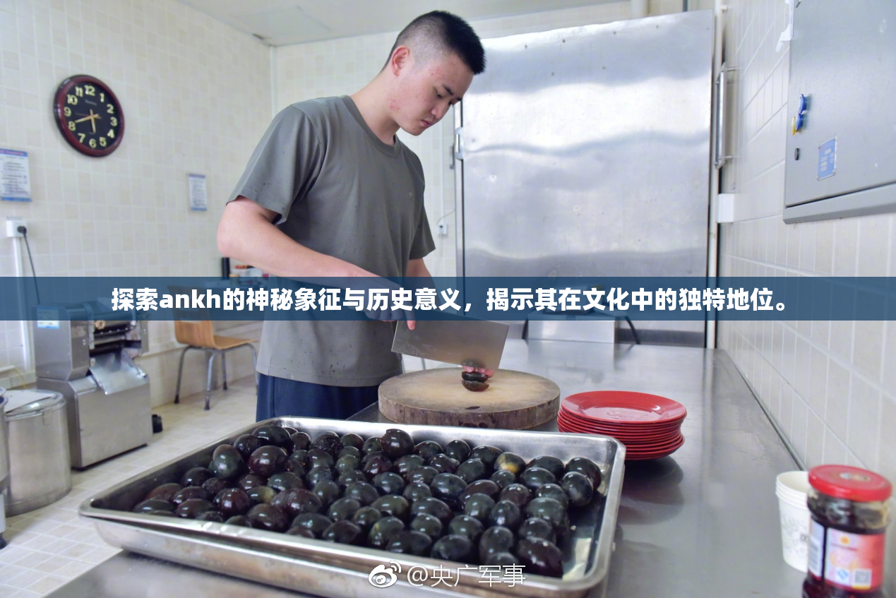 探索ankh的神秘象征与历史意义，揭示其在文化中的独特地位。