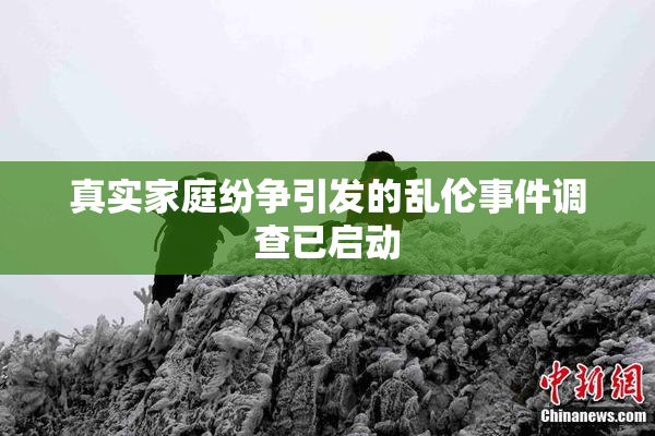 真实家庭纷争引发的乱伦事件调查已启动