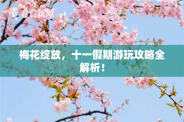 梅花绽放，十一假期游玩攻略全解析！