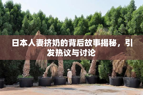 日本人妻挤奶的背后故事揭秘，引发热议与讨论
