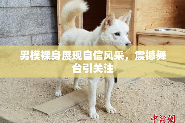 男模裸身展现自信风采，震撼舞台引关注