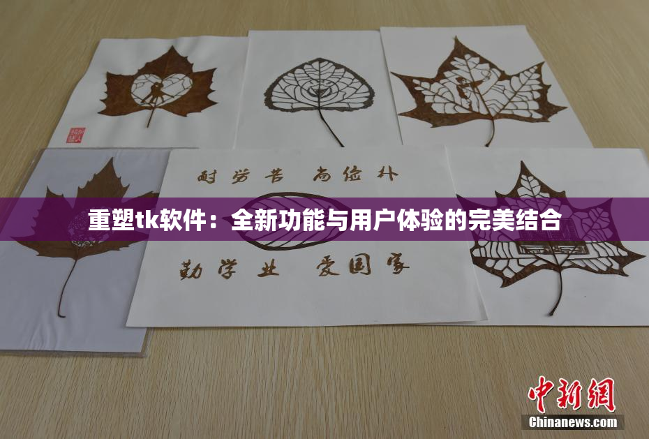 重塑tk软件：全新功能与用户体验的完美结合