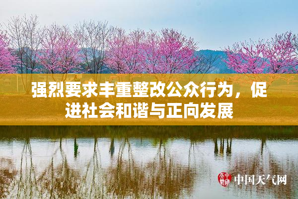 强烈要求丰重整改公众行为，促进社会和谐与正向发展