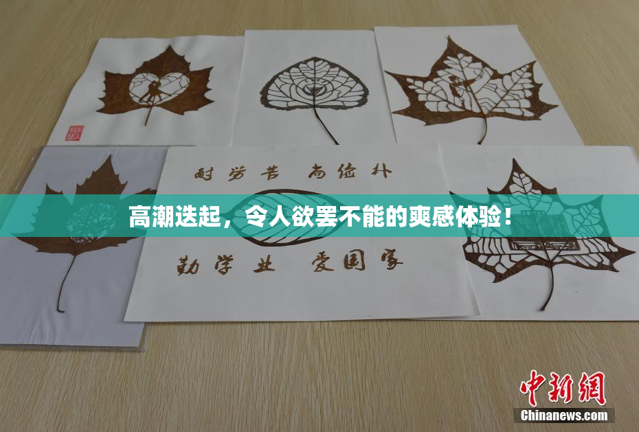 高潮迭起，令人欲罢不能的爽感体验！