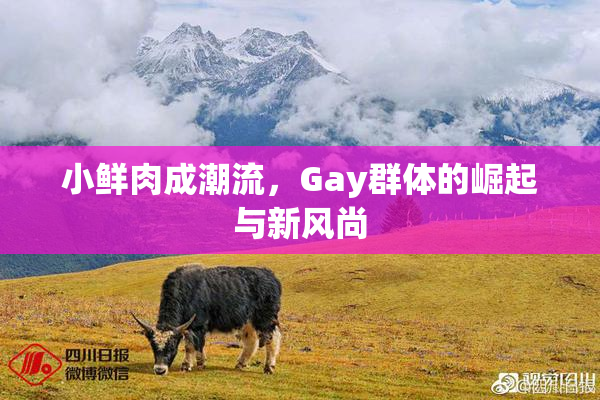 小鲜肉成潮流，Gay群体的崛起与新风尚