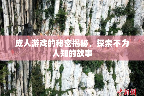 成人游戏的秘密揭秘，探索不为人知的故事