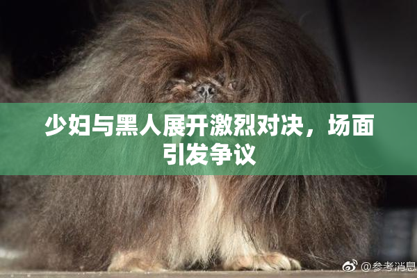 少妇与黑人展开激烈对决，场面引发争议