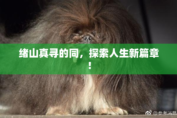 绪山真寻的同，探索人生新篇章！