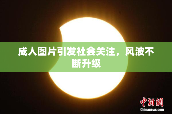 成人图片引发社会关注，风波不断升级