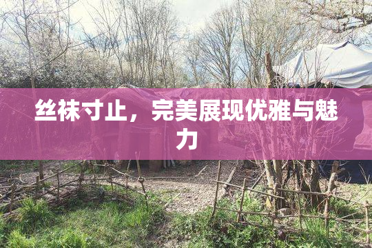 丝袜寸止，完美展现优雅与魅力