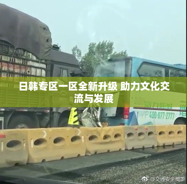 日韩专区一区全新升级 助力文化交流与发展