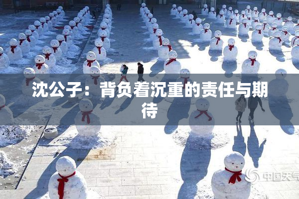 沈公子：背负着沉重的责任与期待