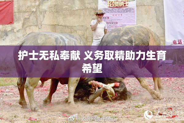 护士无私奉献 义务取精助力生育希望