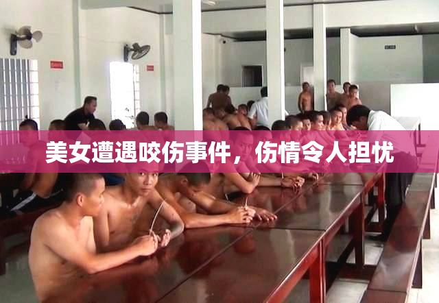 美女遭遇咬伤事件，伤情令人担忧