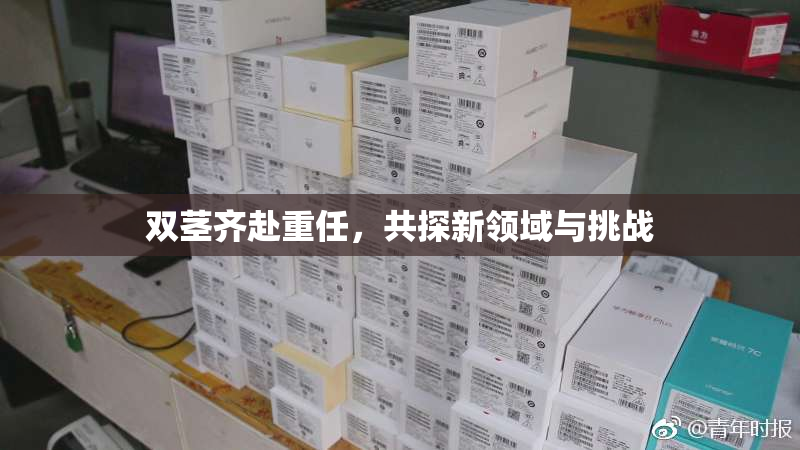 双茎齐赴重任，共探新领域与挑战