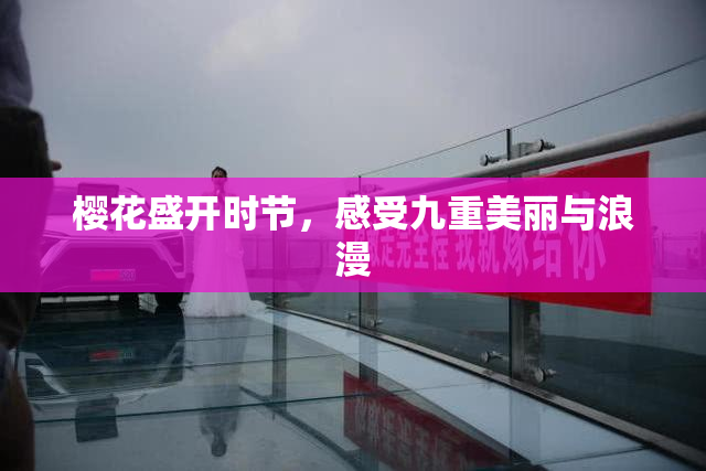 樱花盛开时节，感受九重美丽与浪漫