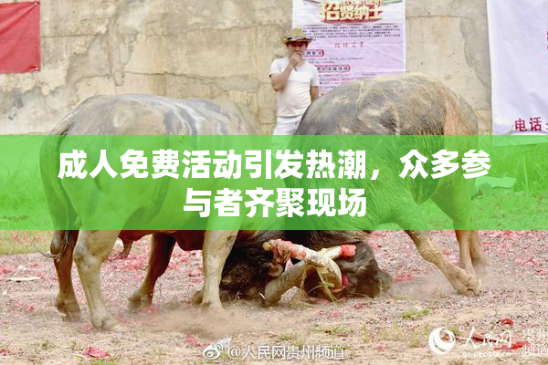 成人免费活动引发热潮，众多参与者齐聚现场
