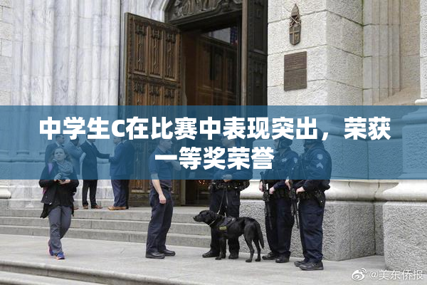 中学生C在比赛中表现突出，荣获一等奖荣誉